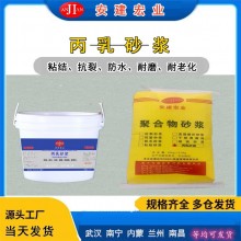 丙乳砂浆双组分环氧树脂砂浆 防水抗渗水工建筑修复加固 精选品质