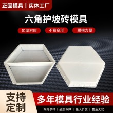 六角护坡砖模具实心预制水泥六棱块河道水库空心砖护坡塑料模具